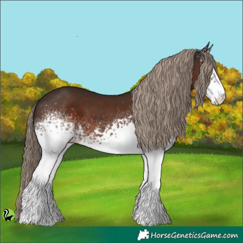 Horse Color:White Spotted Liver Chestnut 