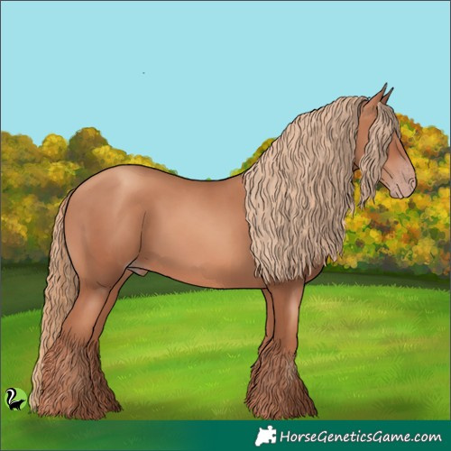 Horse Color:Gold Champagne 