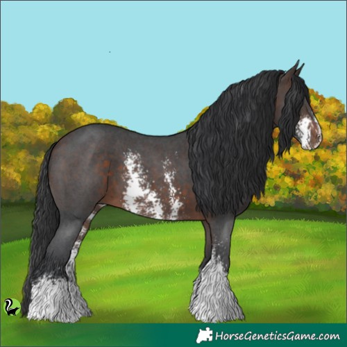 Horse Color:Brown Sabino 