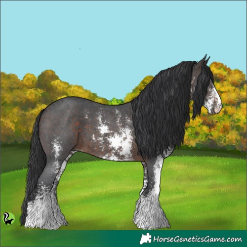 Horse Color:Brown Sabino 