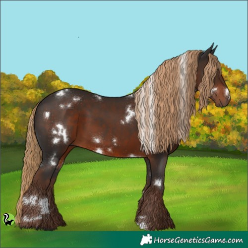 Horse Color:White Spotted Liver Chestnut 