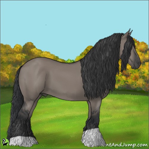 Horse Color:Grullo 