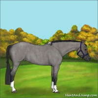 Horse Color:Grullo Roan Tobiano 