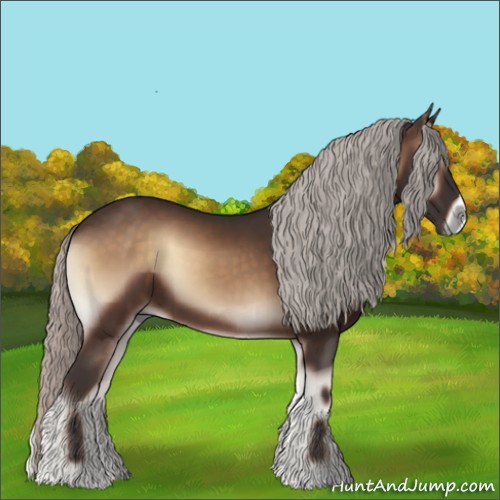 Horse Color:Silver Brown Onyx