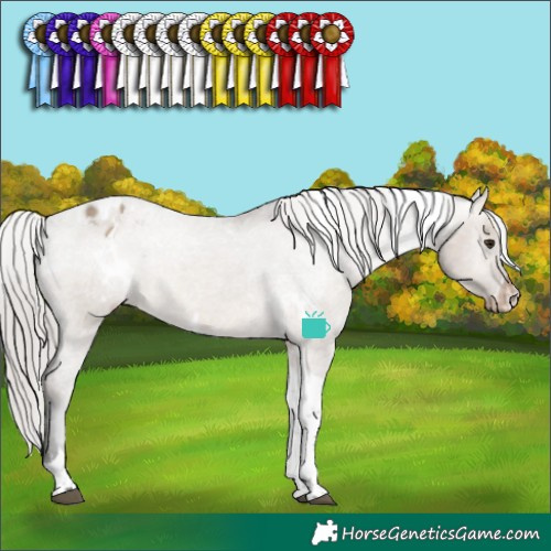 Horse Color:White Spotted Silver Brown Dun Tobiano Varnish Rabicano 