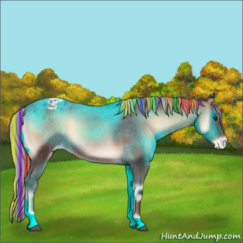 Horse Color:Painted Liver Red Onyx Appaloosa 