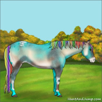 Horse Color:Painted Liver Red Onyx Appaloosa 
