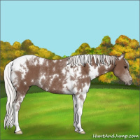 Horse Color:White Spotted Silver Black Tobiano Rabicano 