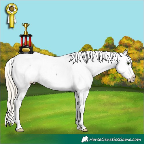 Horse Color:White Spotted Gold Champagne Ice Pearl Onyx Snowcap Rabicano