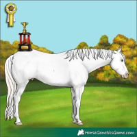 Horse Color:White Spotted Gold Champagne Ice Pearl Onyx Snowcap Rabicano 