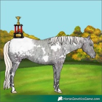Horse Color:White Spotted Gold Champagne Ice Pearl Onyx Appaloosa Rabicano 