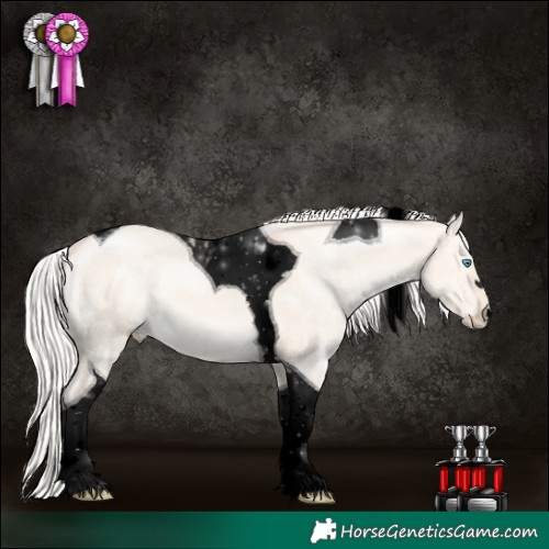 Horse Color:Void Silver Perlino Dun Tobiano 