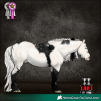 Horse Color:Void Silver Perlino Dun Tobiano 