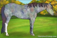 Horse Color:Nacre Black Ice 