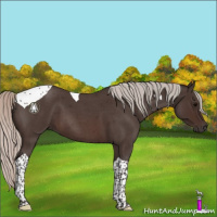 Horse Color:Silver Brown Roan Tobiano 