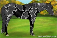 Horse Color:White Spotted Black 