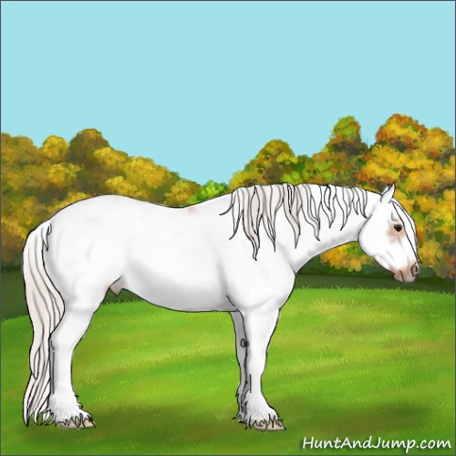 Horse Color:Silver Bay Ice Sabino Frame 