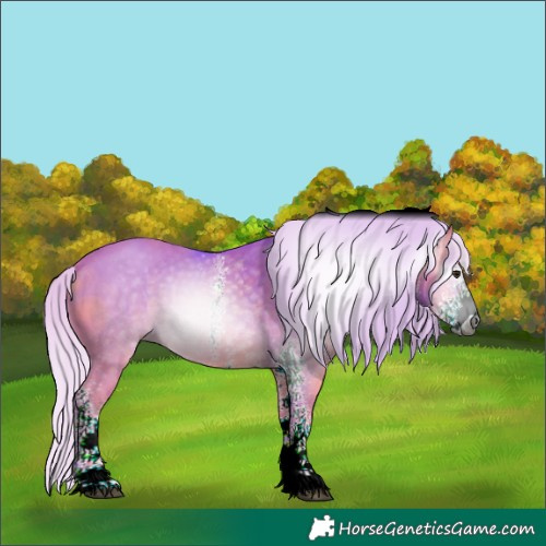 Horse Color:ERROR: UNKNOWN ANOMALY