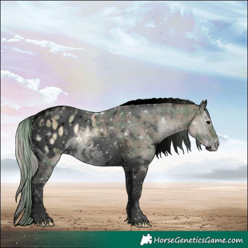 Horse Color:Void Plaid  White Spotted Silver Brown Ice Onyx Tobiano Appaloosa 
