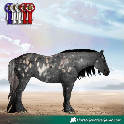 Horse Color:Void Plaid  White Spotted Silver Brown Ice Onyx Tobiano Blanket 