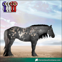 Horse Color:Void Plaid  White Spotted Silver Brown Ice Onyx Tobiano Appaloosa 