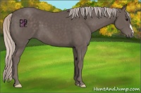 Horse Color:Silver Black 