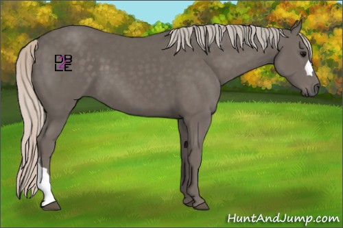 Horse Color:Silver Black