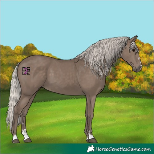 Horse Color:Silver Black 