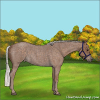 Horse Color:Silver Blue Roan