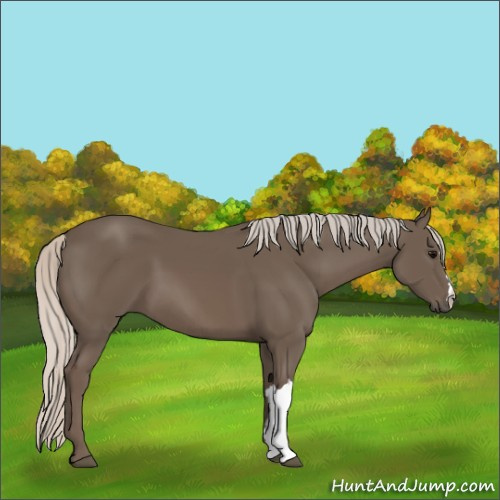 Horse Color:Silver Black