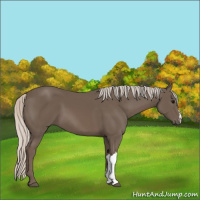 Horse Color:Silver Black 