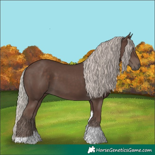 Horse Color:Silver Black Tobiano