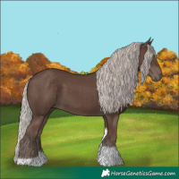 Horse Color:Silver Black Tobiano 