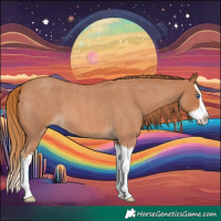 Horse Color:Red Roan Splash 