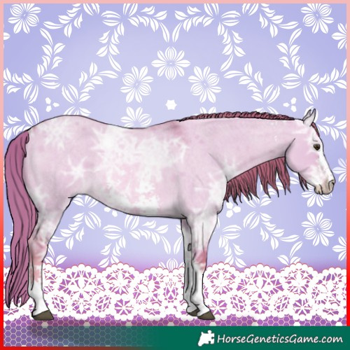 Horse Color:Watercolor Red Dun Ice Roan Sabino