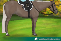 Horse Color:Silver Black 