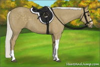 Horse Color:Silver Smoky Black 