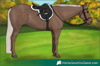 Horse Color:Silver Black 