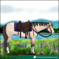 Horse Color:Bay Roan Dun Splash