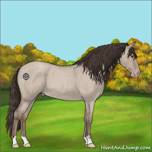 Horse Color:Classic Champagne Roan Dun 