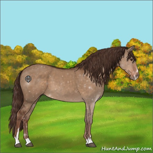 Horse Color:Liver Red Dun Sabino 