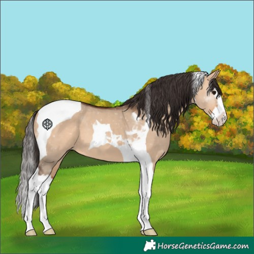 Horse Color:Bay Dun Splash Tobiano 