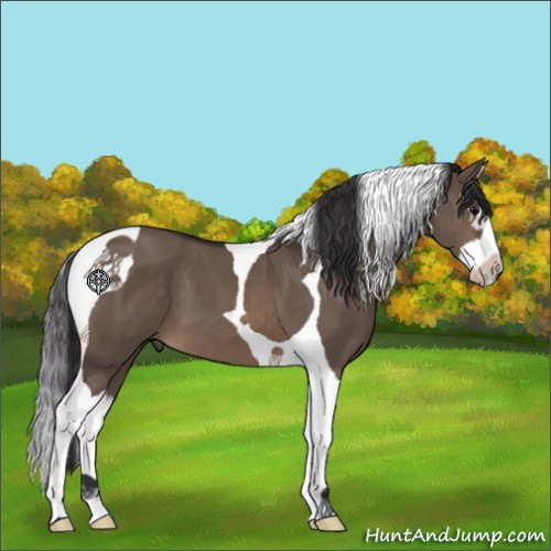 Horse Color:Brown Dun Splash Tobiano 