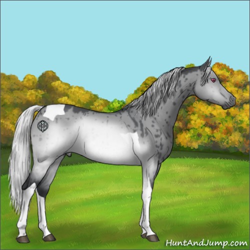 Horse Color:Silver Brown Chinchilla Dun Tobiano Brindle 