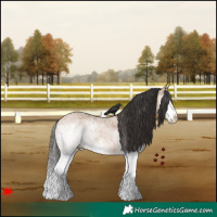 Horse Color:White Spotted Bay Dun Splash 