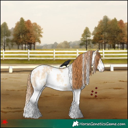 Horse Color:White Spotted Red Dun