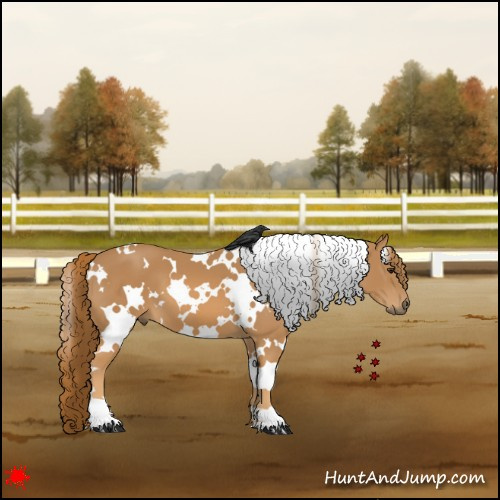 Horse Color:White Spotted Chestnut 