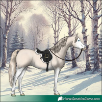 Horse Color:Perlino Splash  and Perlino Splash 