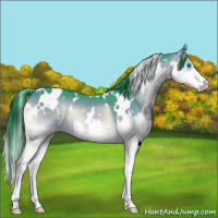 Horse Color:Watercolor White Spotted Brown Onyx Splash 