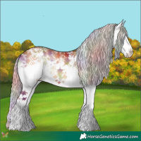 Horse Color:Nacre White Spotted Chocolate Silver Bay Onyx